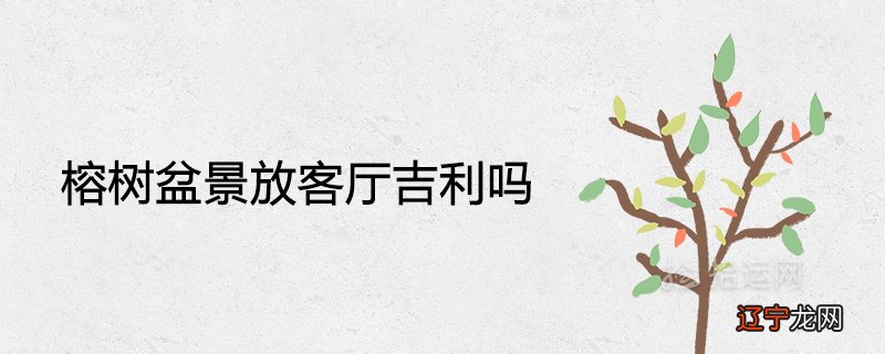 榕树盆景放客厅吉利吗 可以兴旺风水吗