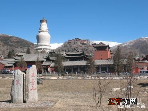 杨家将中的杨五郎有后代吗?