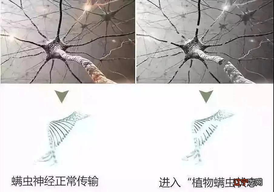 控油界的黑马！螨虫、头屑一扫而光，头发蓬松柔顺有光泽！比吹了海风还清爽！