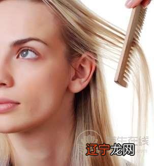 秋季脱发的食疗方