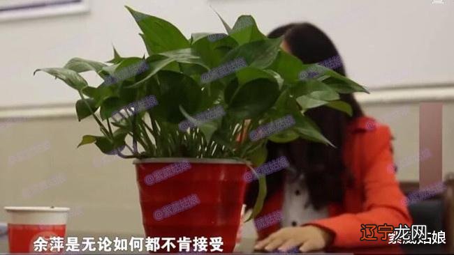 妻子生下3胎，丈夫偷偷去做DNA鉴定，得知结果当场崩溃痛哭