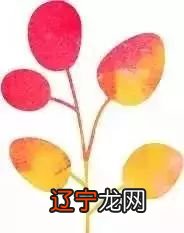 易经命名你的姓氏里,藏着最美的情诗