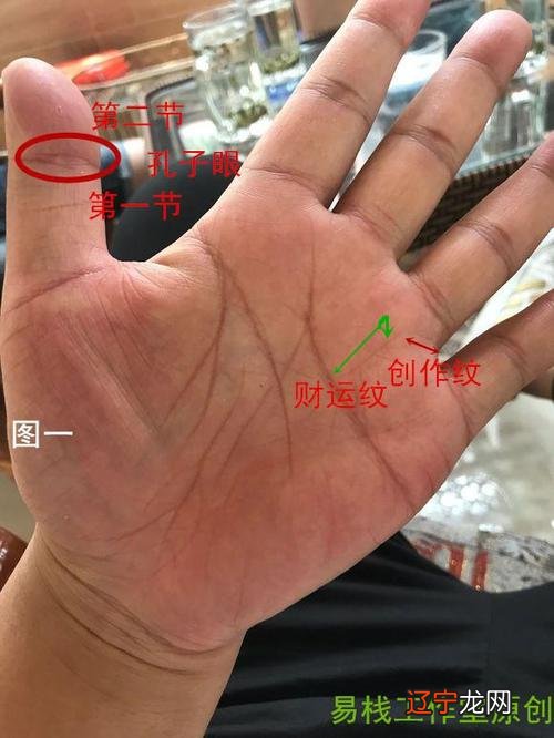 在线测手相 手相怎么看财运