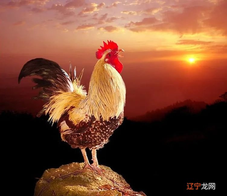 十二 命理课堂八字缺时辰怎么办？