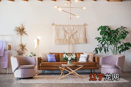 被猫跟着回家意味着什么 风水解析野猫上门