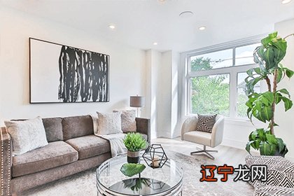 被猫跟着回家意味着什么 风水解析野猫上门