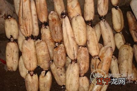 为什么处暑吃莲藕?处暑吃莲藕功效有哪些?