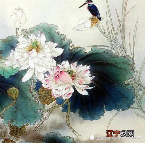 四面八方打一生肖数字筋急转弯 四面八方打一生肖