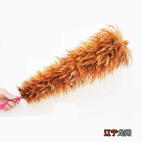 鸡毛飞上天 鸡毛