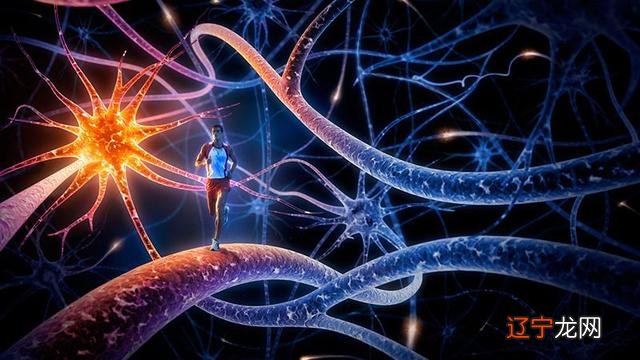 梦见自己从高处往下跳 梦见自己在高处不敢下来啥意思