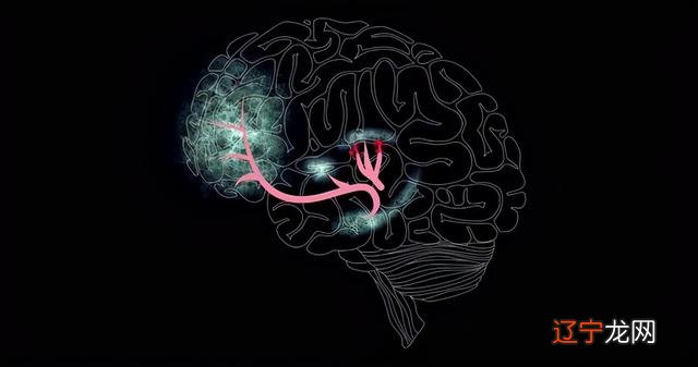 梦见自己从高处往下跳 梦见自己在高处不敢下来啥意思