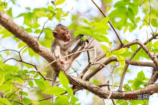 梦见自己从高处往下跳 梦见自己在高处不敢下来啥意思