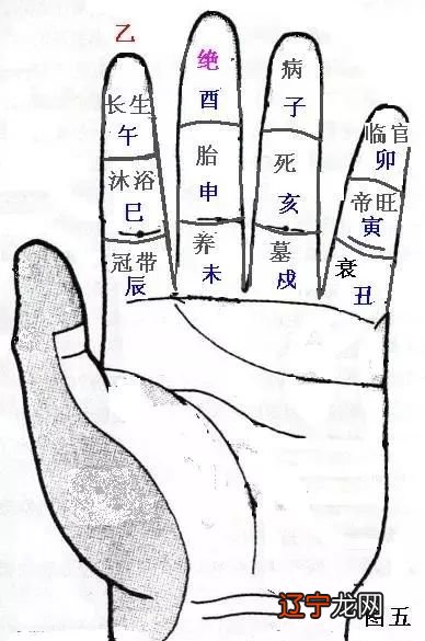 十天干生旺死绝速推掌诀图解及禄刃详解