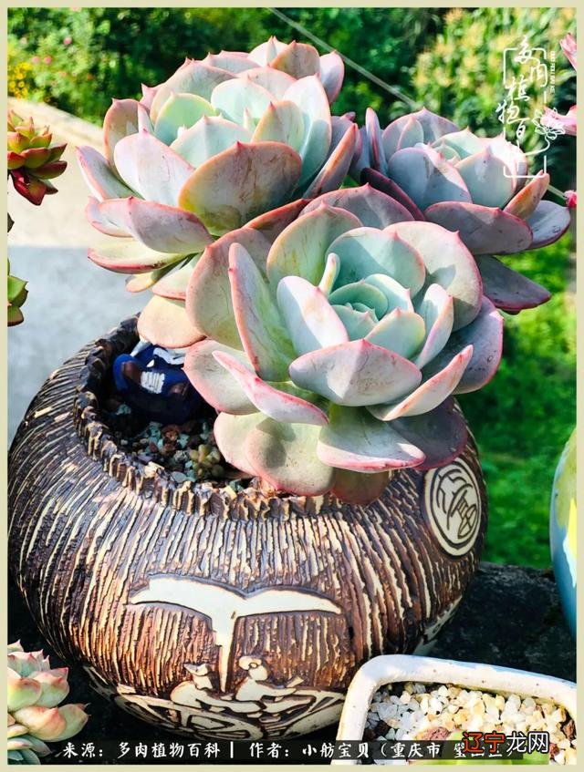 梦见别人还了我一叠钱是什么意思 梦见别人抢我钱是什么意思