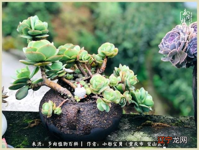 梦见别人还了我一叠钱是什么意思 梦见别人抢我钱是什么意思