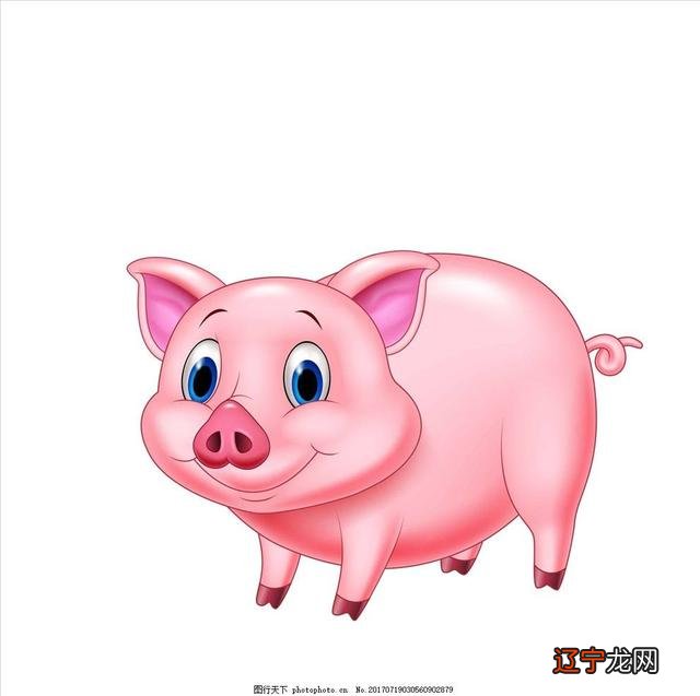 十二生肖各有各的命,这位占卜师的理论为什么会高得这么离谱!