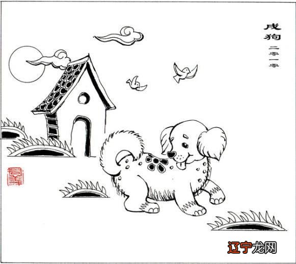 十二生肖各有各的命,这位占卜师的理论为什么会高得这么离谱!