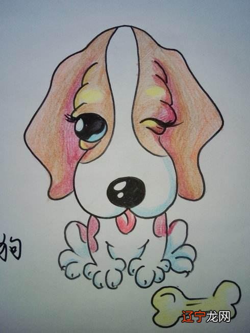 十二生肖各有各的命,这位占卜师的理论为什么会高得这么离谱!