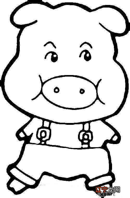 十二生肖各有各的命,这位占卜师的理论为什么会高得这么离谱!