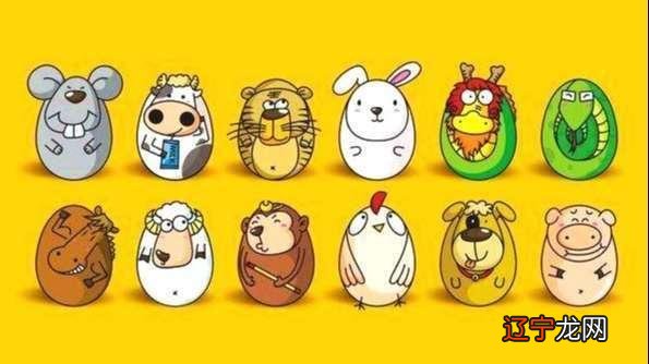 星座和生肖哪个更加准确一点 星座与生肖对照月份