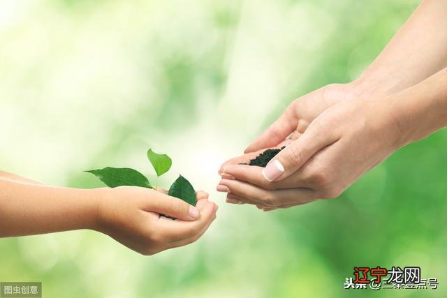 狮子座的性格分析男 狮子座男人的性格命运