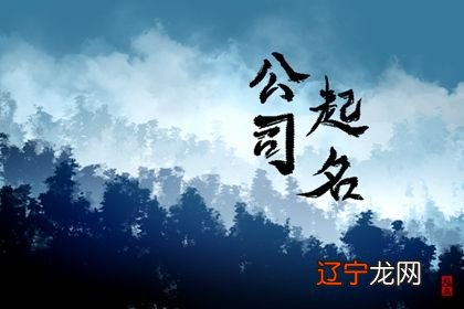 网络通信设备公司取名字 简单好记的公司名字