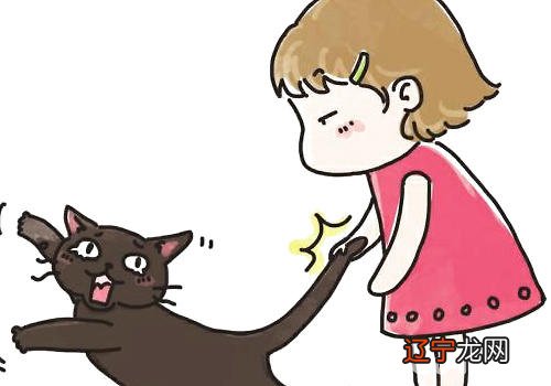 与猫咪相处的毛病行动