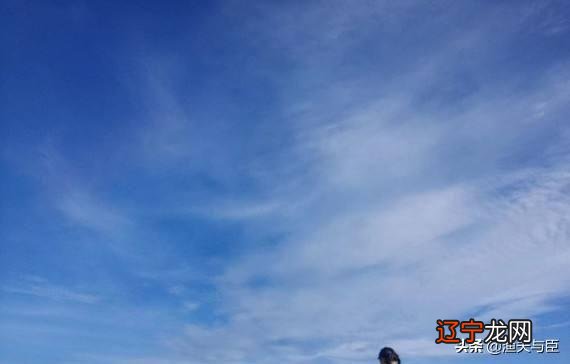 射手座配对 射手座性格分析优缺点大全