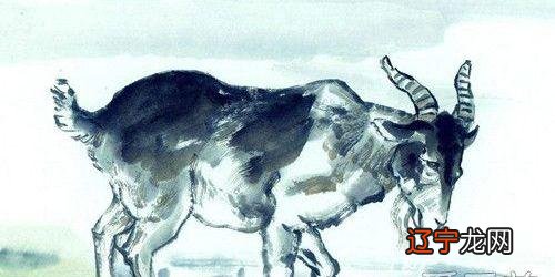 2020属羊人全年运势男 79年属羊人2021年全年运势