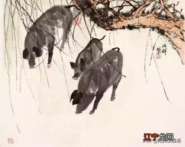 新年春节图片 春节猪年图片大全