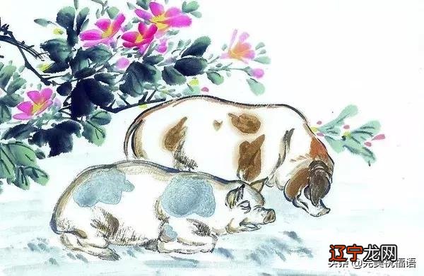 新年春节图片 春节猪年图片大全