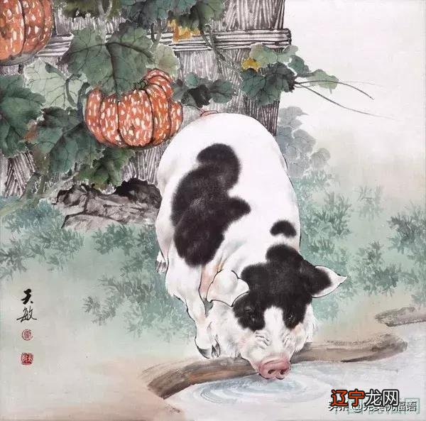 新年春节图片 春节猪年图片大全