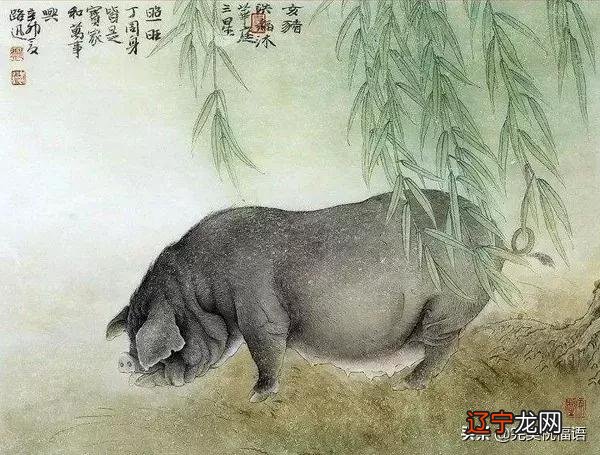 新年春节图片 春节猪年图片大全