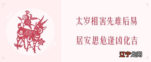 2020年属什么生肖配对最好 2020年属什么生肖配对