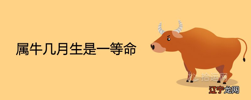 属牛几月生是一等命 最富贵的出生月份