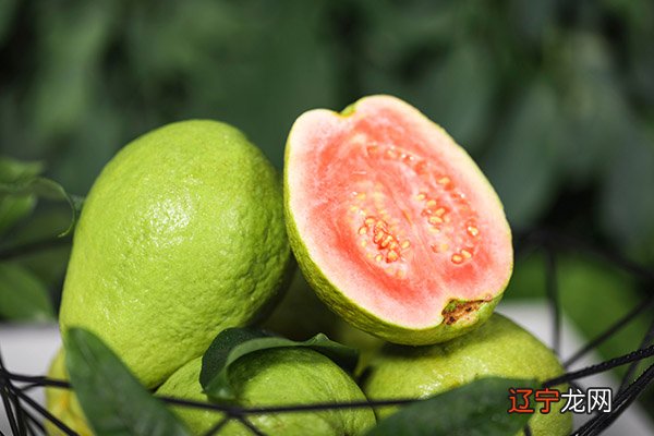 芭乐水果的功效与作用 芭乐水果的营养价值