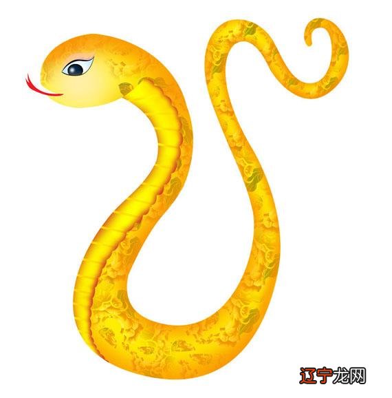 1941年属蛇的是什么命 1941年属蛇人的命运