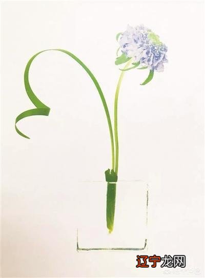 树叶可以做成哪些工艺品?