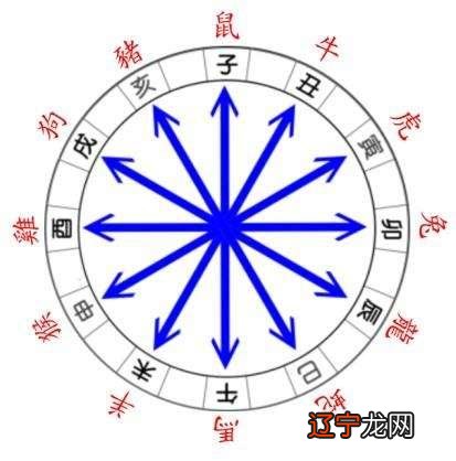 属兔人出生年月日时辰全解 出生年月日时辰算命 免费算命