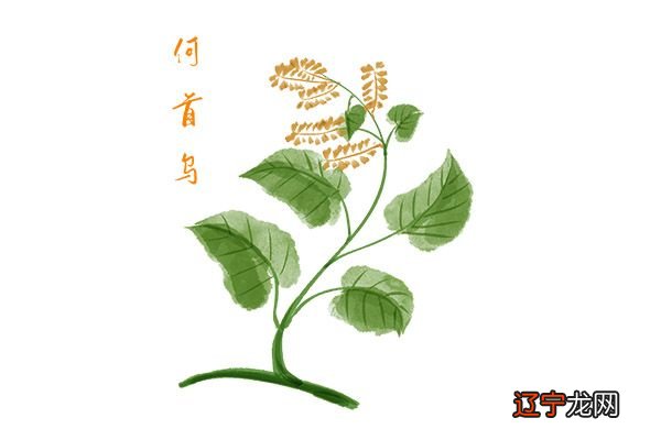 女人肾虚吃什么好调养 女人调理肾虚吃什么