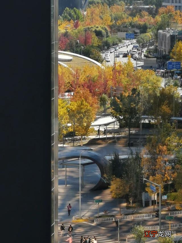 瞧不上北京的不只有上海,还有望京