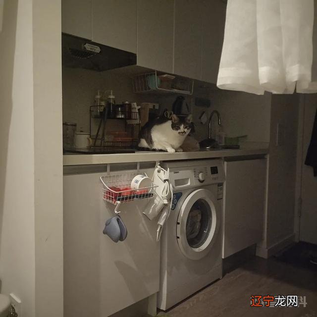 瞧不上北京的不只有上海,还有望京