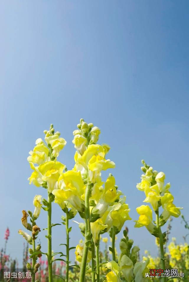 双子座幸运数字是什么 2020双子座幸运数字