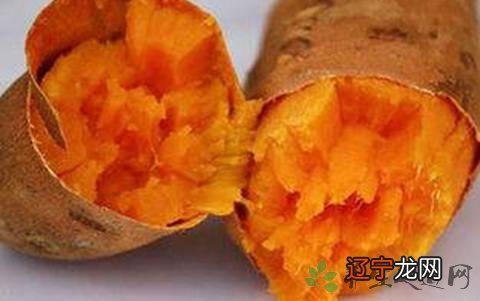 上班胃疼吃什么零食