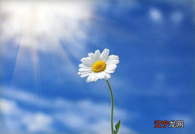 双鱼座女生性格 双鱼座女生的性格怎么样