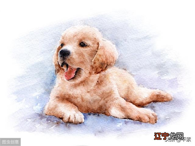 1992年出生是什么命 1978出生是什么命