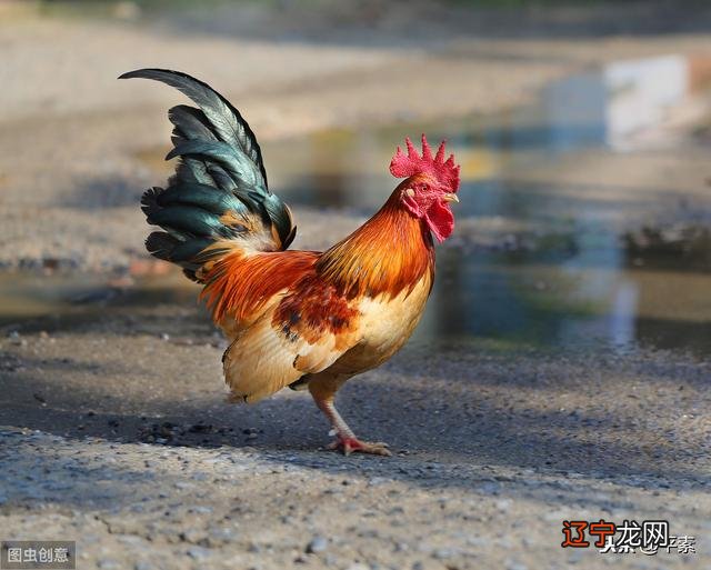 1992年出生是什么命 1978出生是什么命