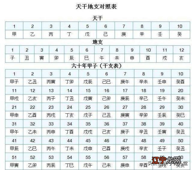 2020年鼠年是什么鼠 2020年鼠年是什么命