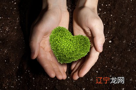 本命年2012年龙年运程怎么样?2012年生肖龙本命年运势要注意什么