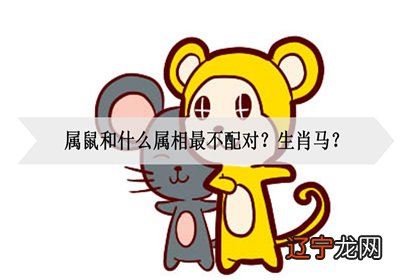属鼠和什么属相最不配对？生肖马？
